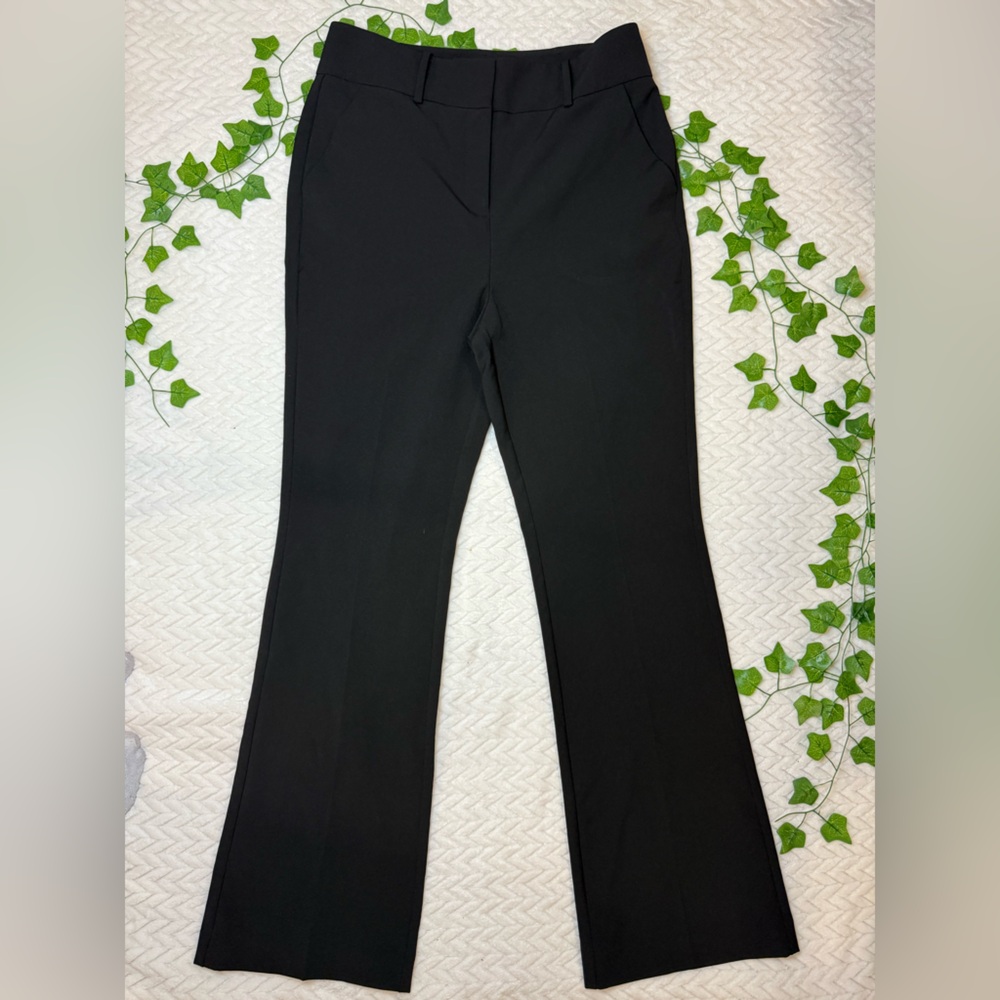 Avenue Black Boot Cut Pants